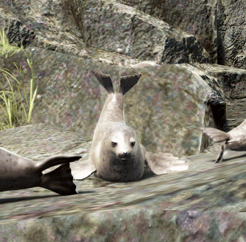 b4c27c9c88720241025192243577.gif
