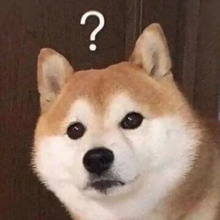 i1387491997.jpg