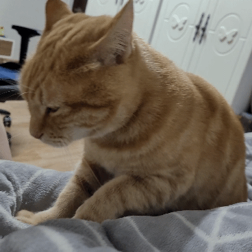 i0424880492.gif