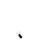i0462077529.gif