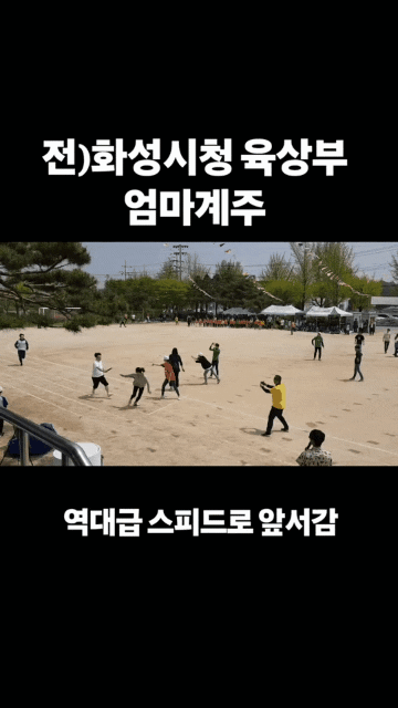 i0469929158.gif