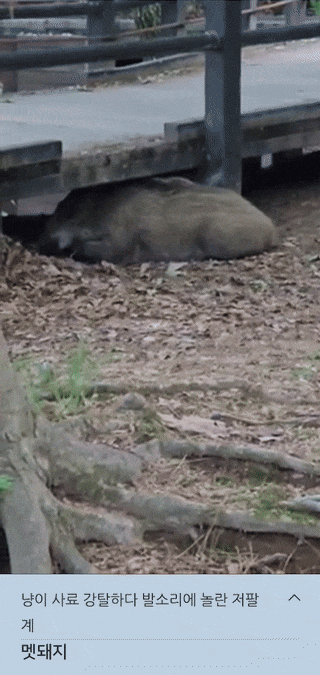 i0590784713.gif
