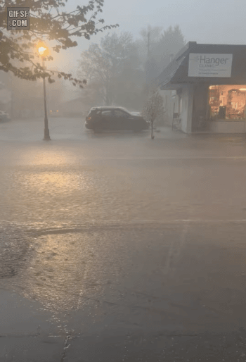 i0651678749.gif