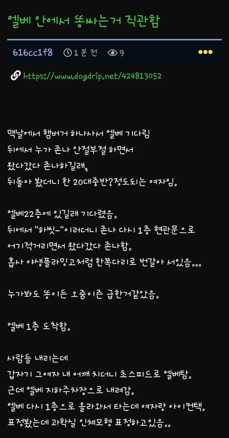 i1137038209.webp