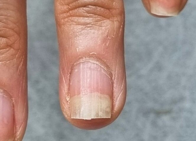 i1226440822.jpg