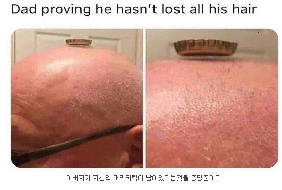 i1241467332.jpg