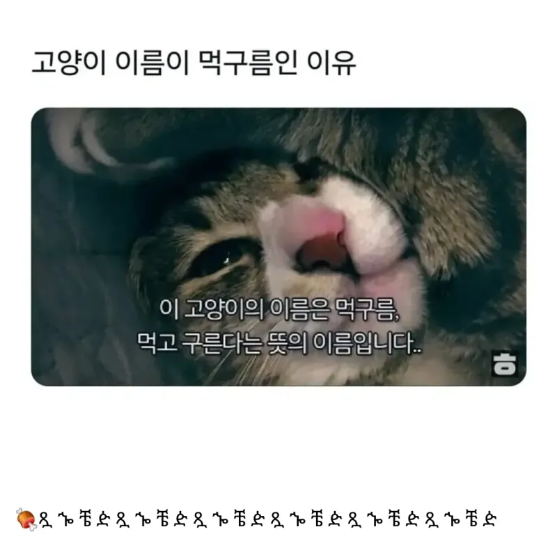 i1265079474.webp