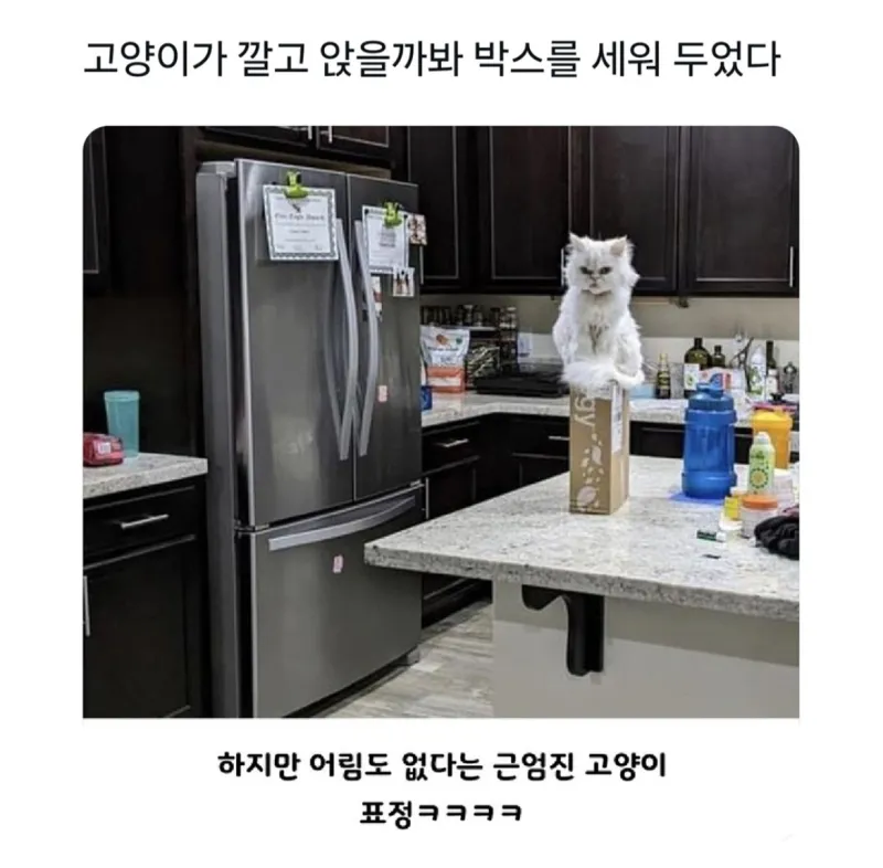 i1308593738.webp