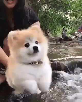 i1325016341.gif