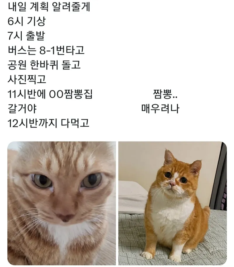 i1332049703.webp