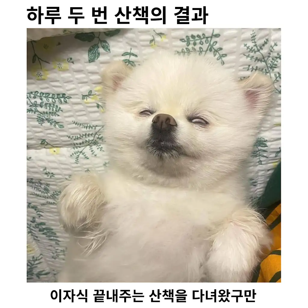 i1354116961.webp