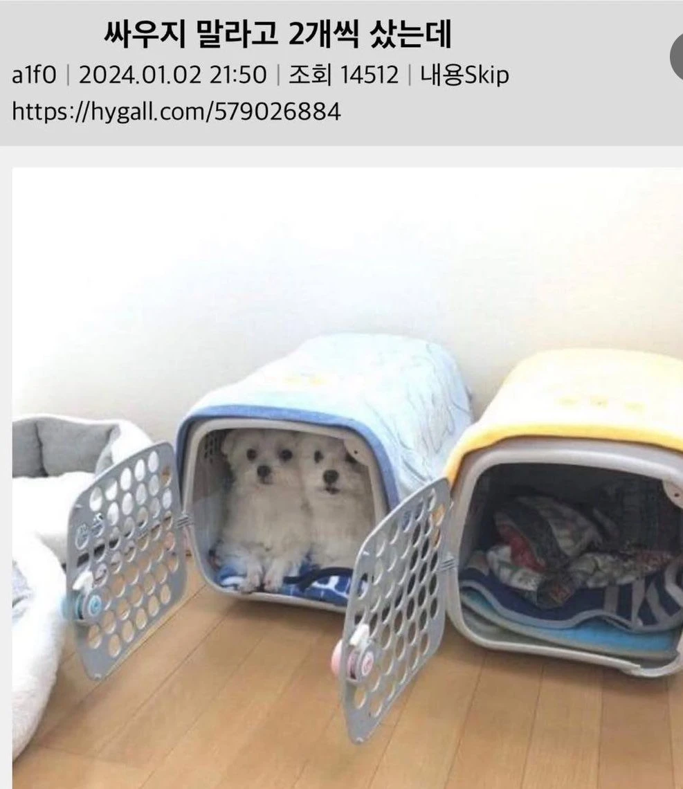 i1425972729.webp