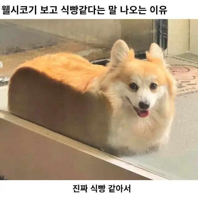 i1428398557.jpg