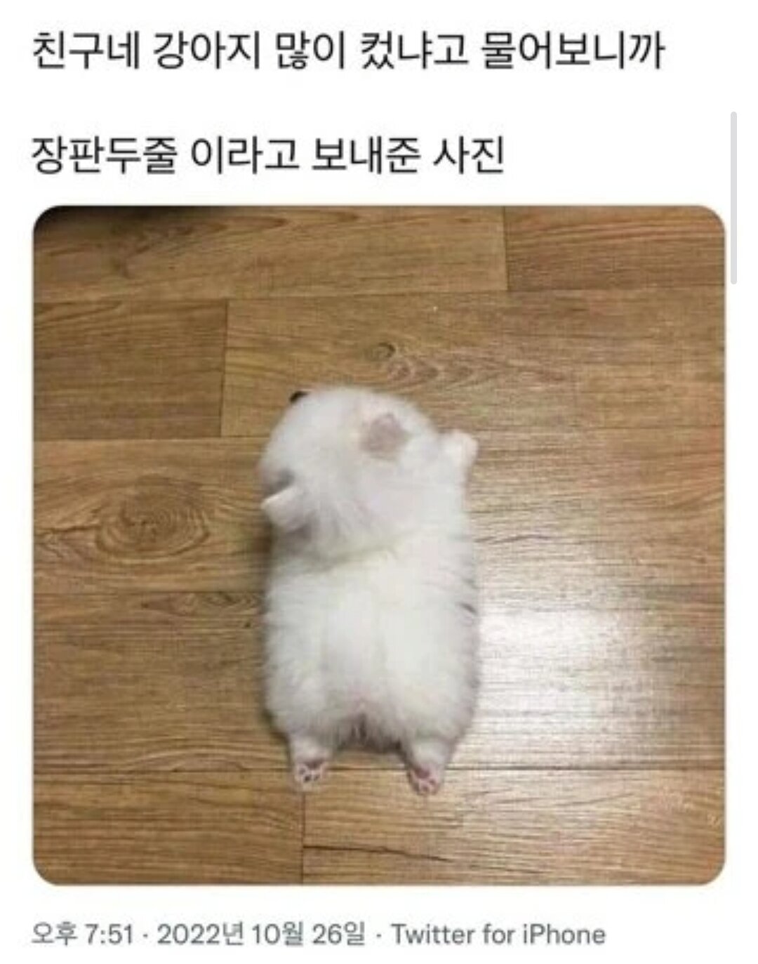 i1447295724.jpg