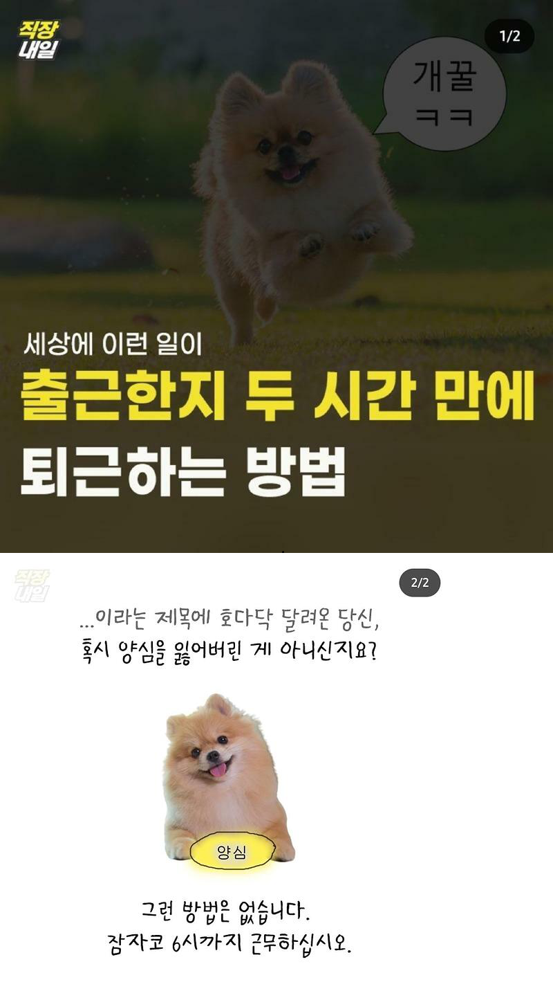 i1447694304.png