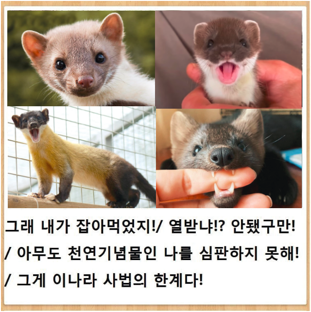 i14532537385.png