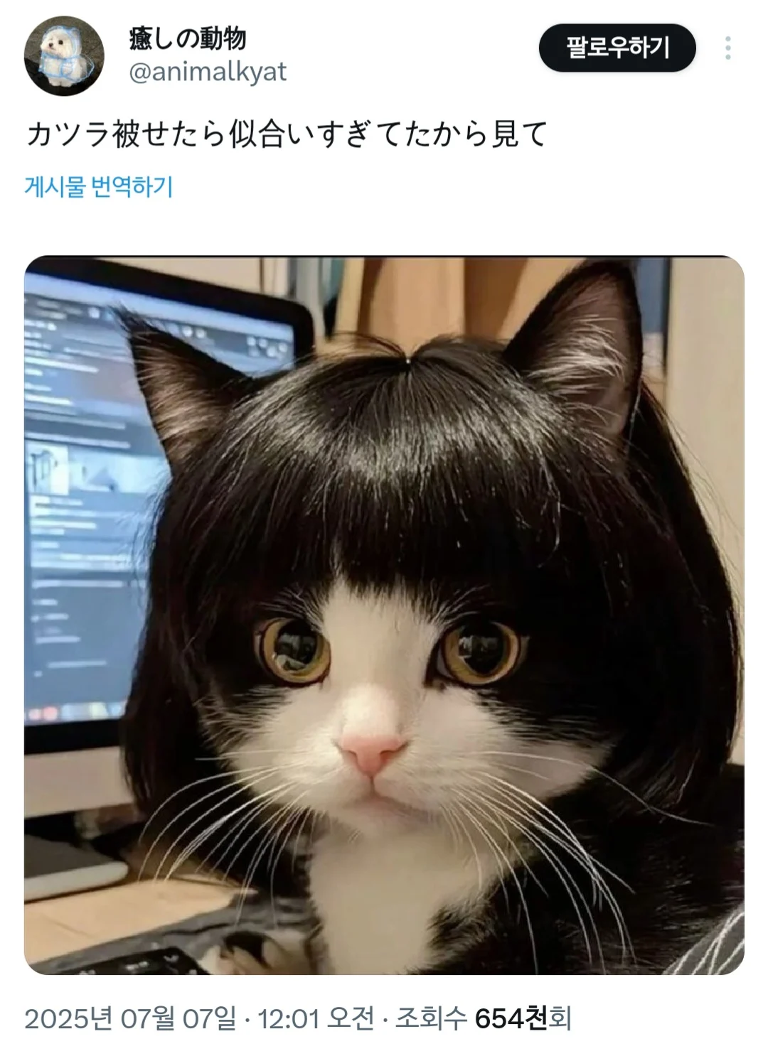 i1497866988.webp