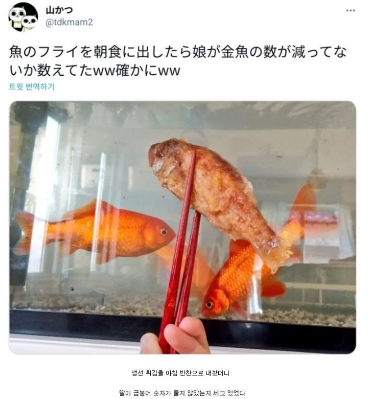 i1558781898.webp