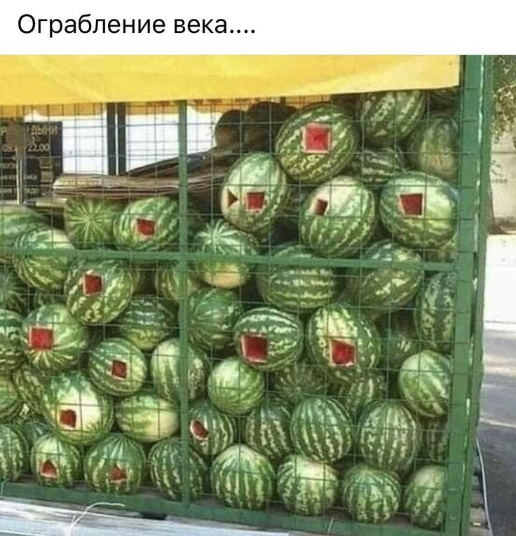 i1575091516.jpg