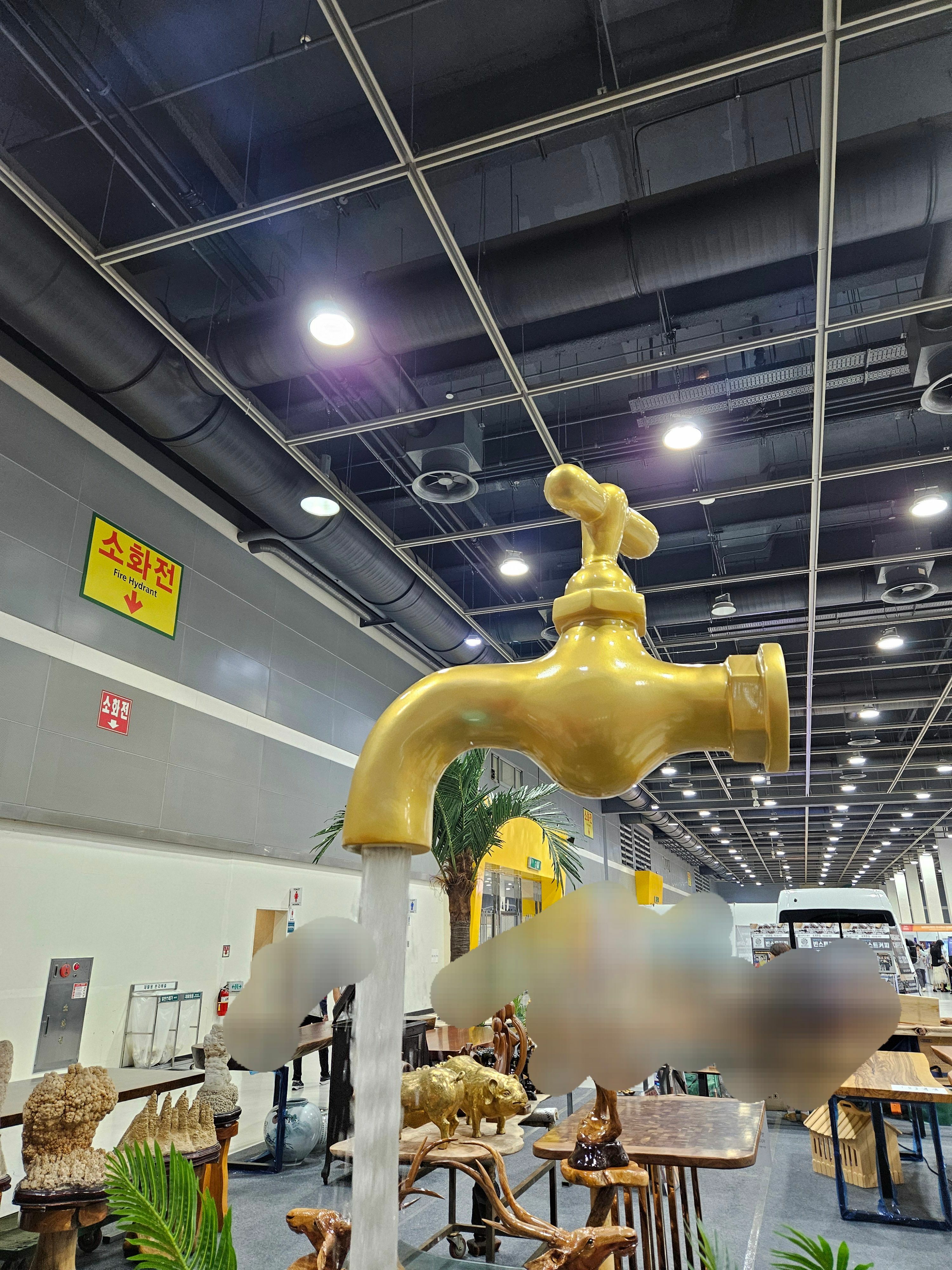 i1615926125.jpg