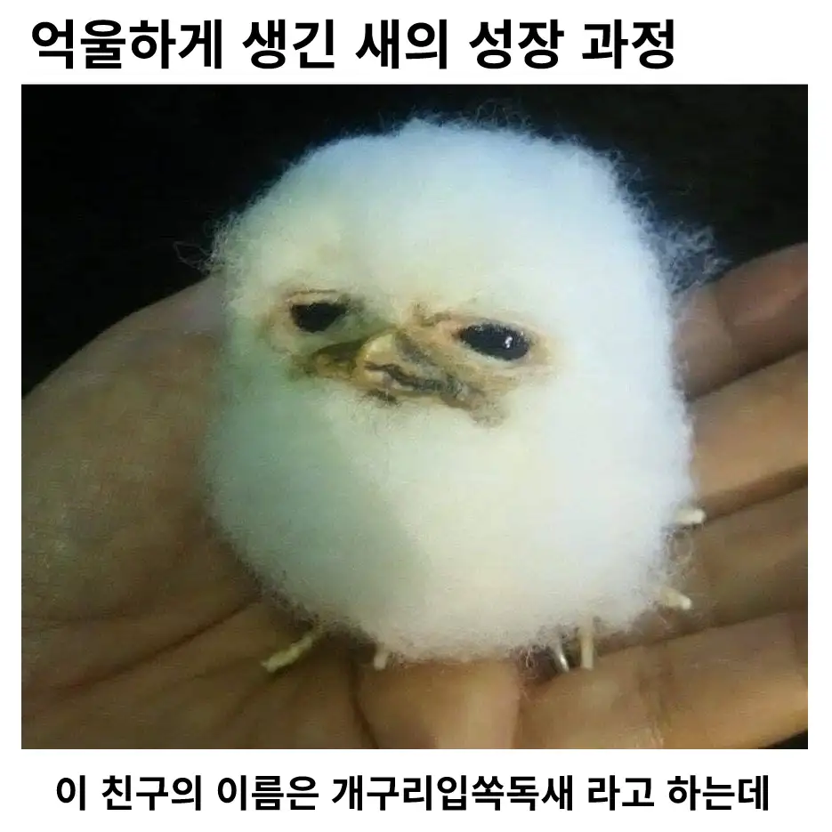 i1640361332.webp