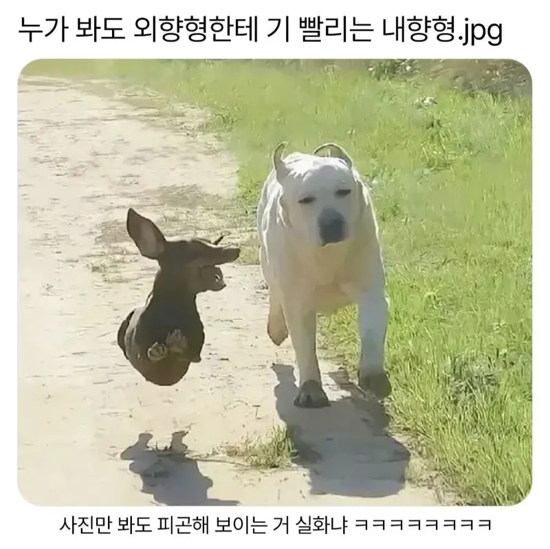 i1643159977.webp