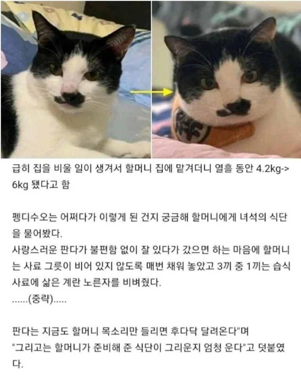 i1725533963.webp