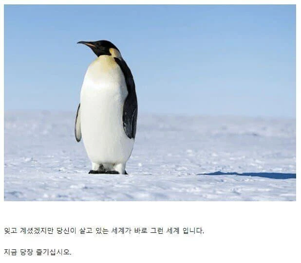 i1739838389.webp