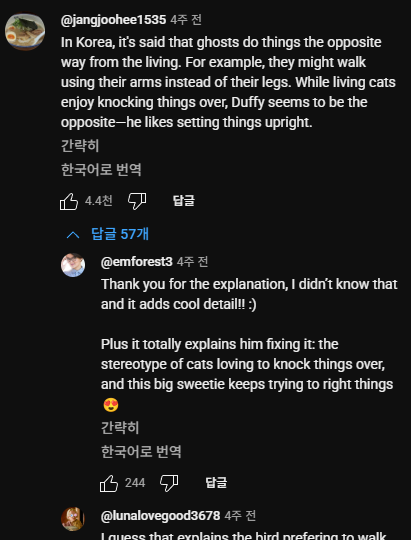 i1740321094.png