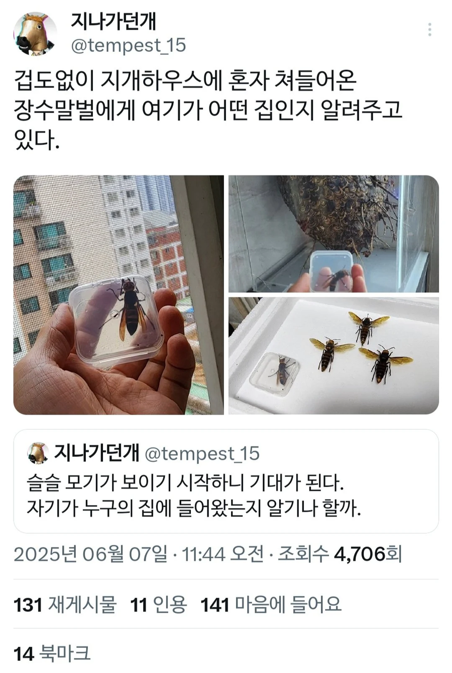 i1859010312.webp