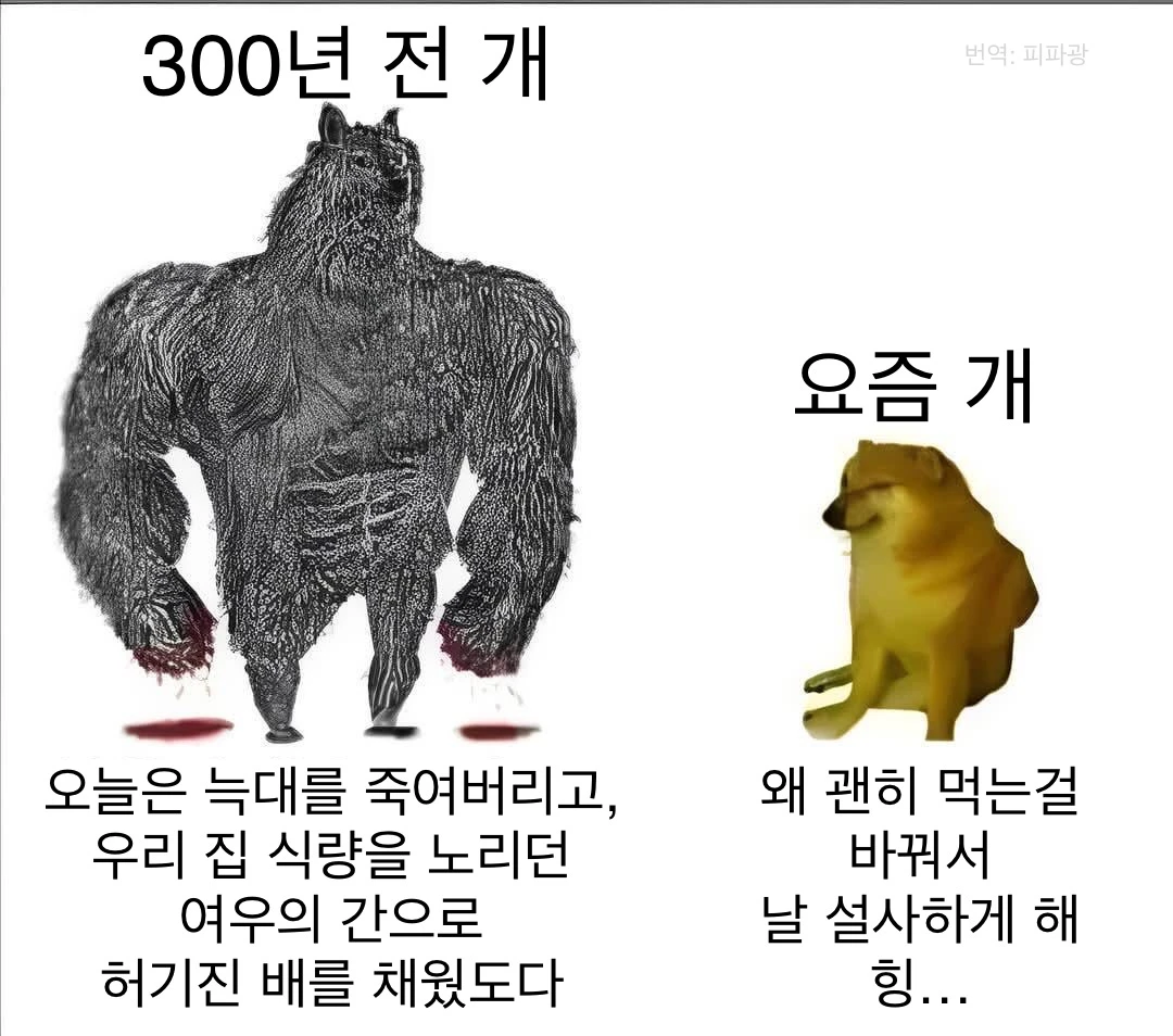 i1910649248.webp