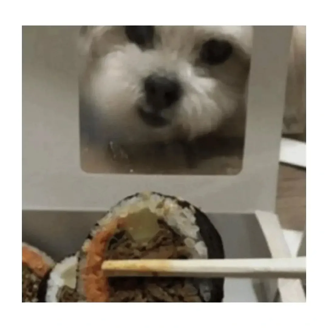 i1911812580.webp