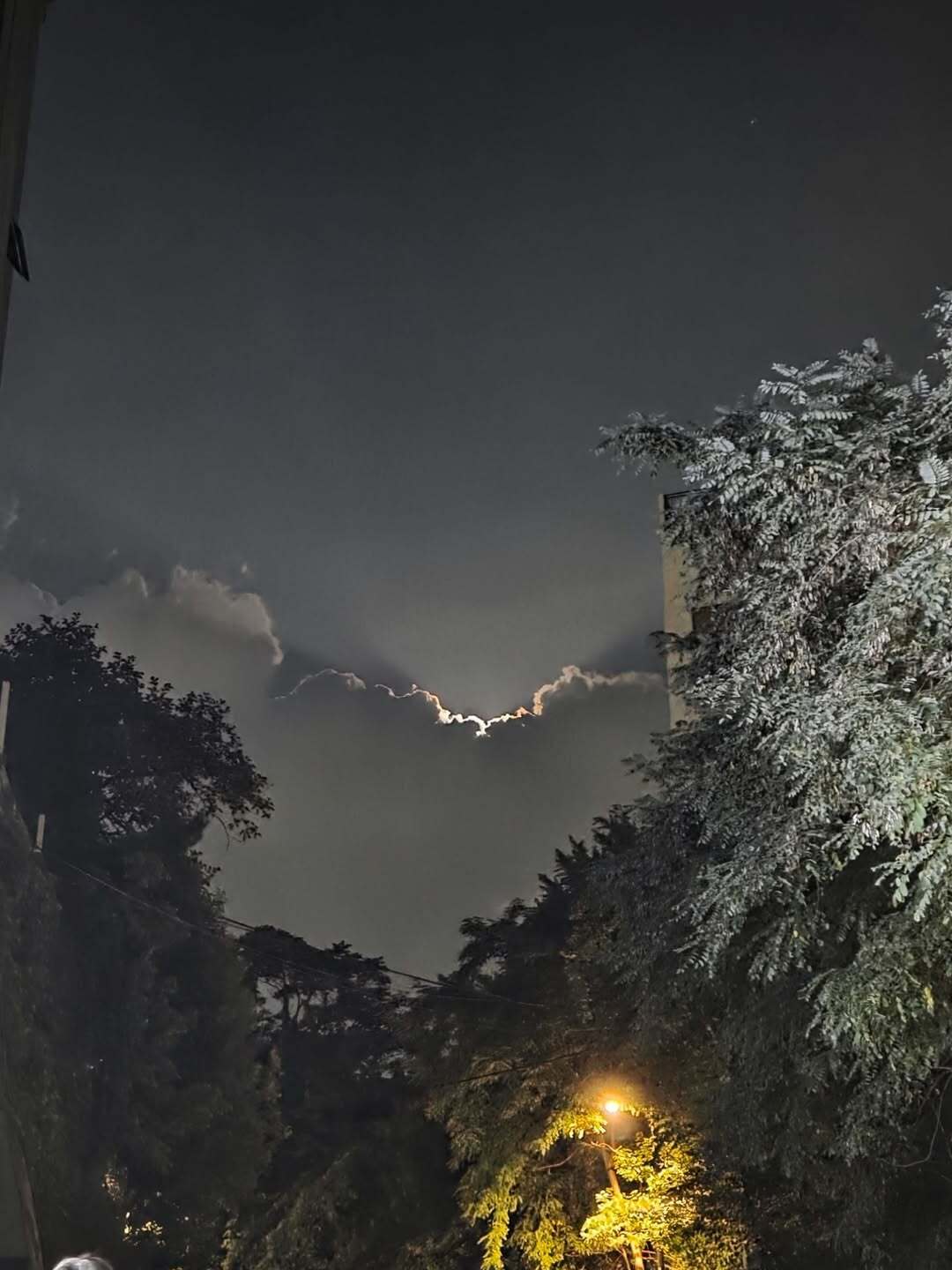 i1295546867.jpg